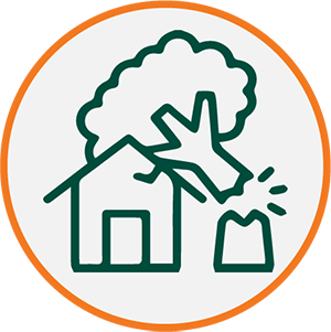 Storm and Emergency Response Icon