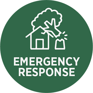 Storm and Emergency Response Icon