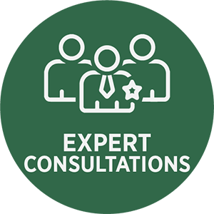 Expert Consultations Icon