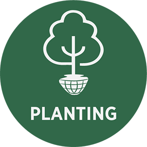 Planting Icon