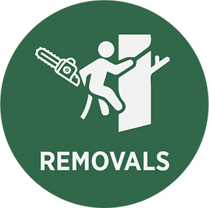 Removals Icon