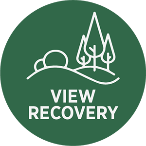 View Recovery Icon