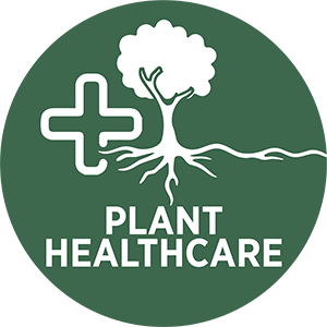 Plant Healthcare Icon Green
