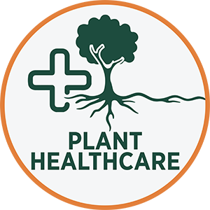Plant Healthcare Icon