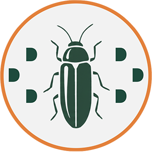 Emerald Ash Borer Icon
